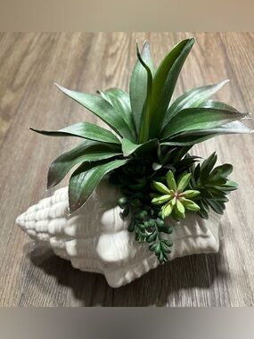Faux Succulent Arrangement in Decorative White Seashell
